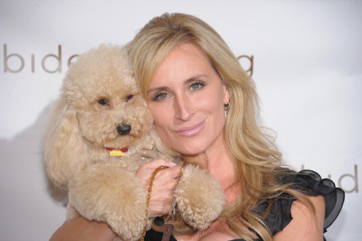 sonja morgan net worth